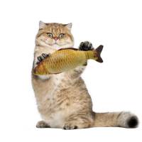 Мягкая игрушка рыба карась 40 см. для кошек кота с кошачьей мятой 