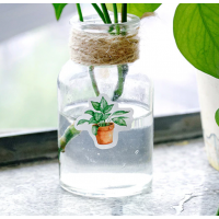Наклейки "New plants", стікери, 45 шт