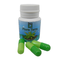 Ptero Flora Terra
