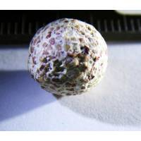 Кварцеві кульки для вирощування бактерій 500 г