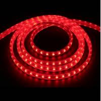 Светодиодная лента 220V SMD 3528 60 IP68 красная, red