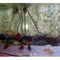 Світильник світлодіодний BeamsWork LED400, Odyssea