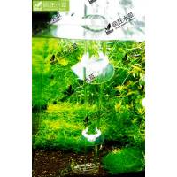 Трубка для кормления креветок и донной рыбы 35 см.