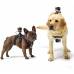 Крепление на собаку для камер GoPro HD HERO 2 3