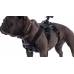 Кріплення на собаку для камер GoPro HD HERO 2 3