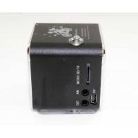 Мини плеер-колонка TD-V26